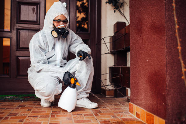 Reliable Ant Control contractor in Allen, TX by Show Me Pest Control